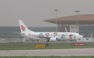 兩岸春節加班機 民航局：盼其他業者增班