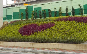 誰說花毯只有公園有！新北高速公路旁現心型植栽