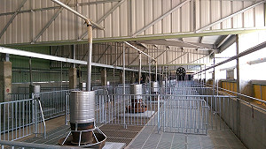 翻轉養豬場髒臭刻板印象！台中推沼氣發電