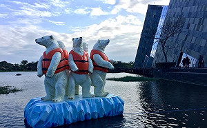 首批「北極熊難民」現身宜蘭　反思氣候變遷