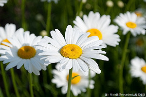 週六天氣晴！東北季風減弱 西部放晴東部雨