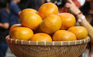 吃橘子防失智？國健署：目前無食物能做到