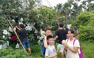 屏東不只馬拉松  農遊小旅行讓人更療癒