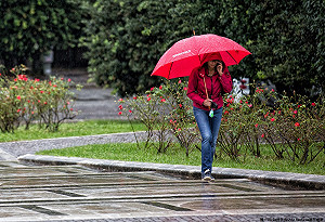 冷氣團報到！北部低溫探13度 全台又濕又冷