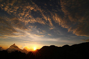 阿里山祕境拍照打卡！臉書小編帶路