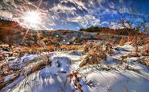 未來一週都超冷！2千公尺高山有望白頭