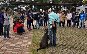 動物也可以是導遊！中市推動保小旅行