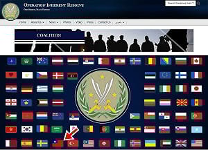 美反恐聯盟官網 再掛青天白日滿地紅國旗