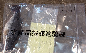 過年安心大口吃魚！新北水產品檢驗全數合格