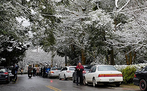 本周末陽明山會下雪！？氣象局：有機會