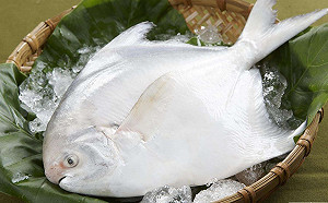 春節前農畜漁產多平價 白鯧一尾近千元