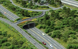 爭議超過20年！淡北道路開發案三度闖環評過關