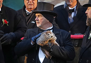 春神來了牠知道?! 土撥鼠預測:春天再等6周