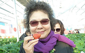 陳菊赴日山形縣  化身一日農夫學習農銷經驗