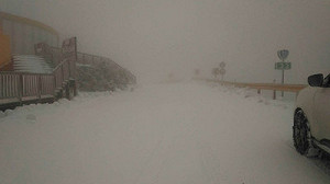 合歡山.太平山凍成銀白雪國 賞雪車輛要掛雪鏈