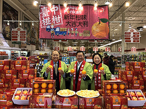 大吉大利！6噸台中椪柑前進加拿大超商販售