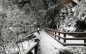 拉拉山持續下雪  沒裝雪鏈禁止入山