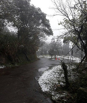 寒流持續發威！烏來山區也下雪囉