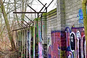 德國找到80公尺柏林圍牆   藏在林中未遭破壞