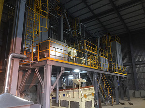 國產雜糧就是讚！北市成立非基改大豆處理中心