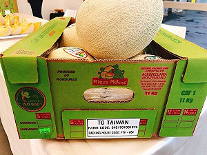 首批宏都拉斯甜瓜來台了！外交部：共創雙贏