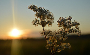 清晨冷白天小幅回暖 北東有局部雨