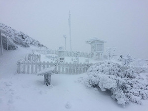 白雪世界！今玉山累積雪深已達16公分