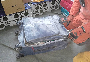 雲翠大樓213房 發現1隻腳