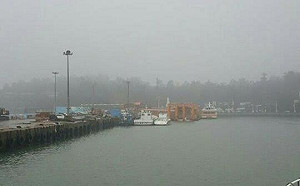 起大霧下大雨  廈門小三通客船全面停駛