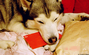 壓歲錢很重要！依照傳統過年這些事必須做