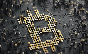 比特幣價格再創歷史新高! 突破11萬美元 專家 : 多重結構性力量推動