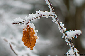 北部入夜探9度！氣象局續發低溫特報