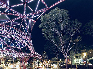 拍照打卡新景點！ 星空廣場今晚浪漫點燈