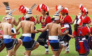 世界自由度調查  台灣「通過原住民族語言發展法」成關鍵