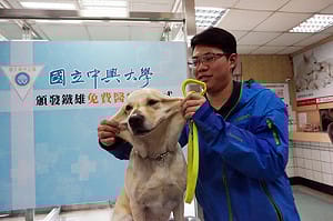 搜救犬鐵雄康復了 撒嬌黏人超萌