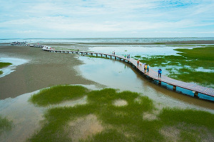 FUN春節》文青系走春！在台中一次打包山、海、河美照