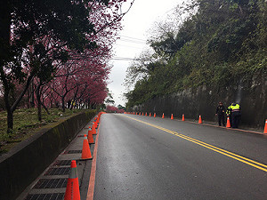 賞櫻別亂停車！警察有交待