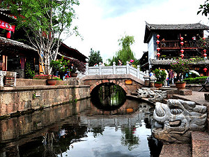 春節期間持續防治禽流感 前往大陸遵守5要6不