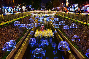 綠川水質改善有成 　藝術光景加持成景點