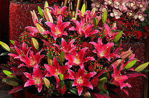 第一名香水百合 最招財則是黃色的...