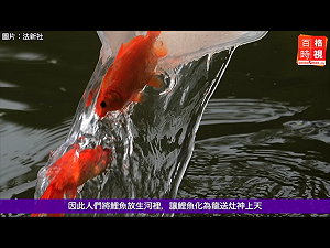 鯉魚老是捉不到被當神祭拜　越南政府斥迷信籲勿影響治安