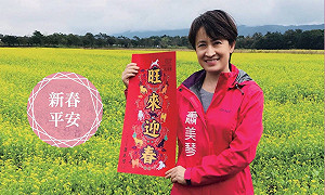 傳接任外交部政次？ 蕭美琴駁：無中生有