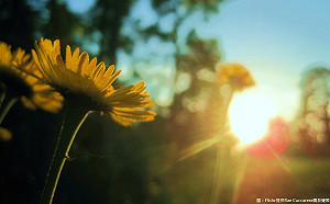 氣象局：春天偏暖雨偏少  5月梅雨季將報到