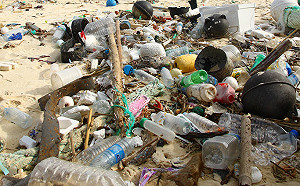 向塑膠汙染說不 宜蘭綠色博覽會首推全程無塑