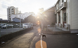 出遊把握今天！白天冷氣團減弱 各地天氣穩定