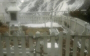 氣溫又降！玉山再白頭清晨降雪0.7公分