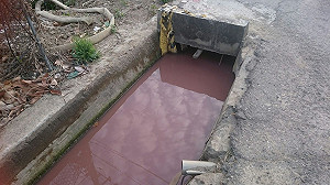 畜牧廢水隨意排放 水溝呈現紅色蔓延600公尺