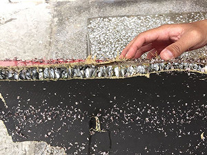 蘭嶼鄉民發現黑鷹直升機殘骸 28日進行打撈