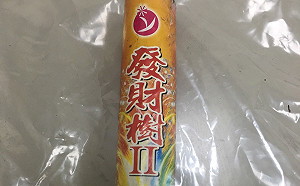 國中生在公車上放鞭炮 嚇壞乘客