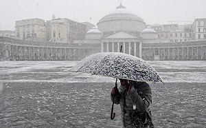 西伯利亞東方野獸肆虐  歐洲48人亡